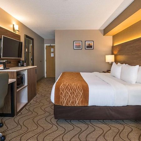 נורת ביי Comfort Inn Lakeshore מראה חיצוני תמונה