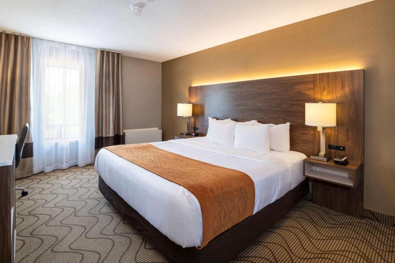 נורת ביי Comfort Inn Lakeshore מראה חיצוני תמונה
