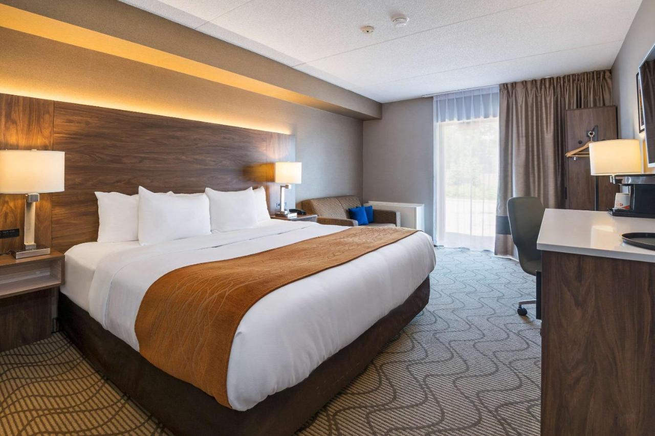 נורת ביי Comfort Inn Lakeshore מראה חיצוני תמונה