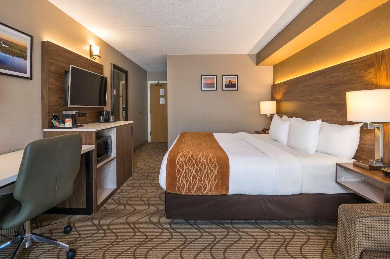 נורת ביי Comfort Inn Lakeshore מראה חיצוני תמונה