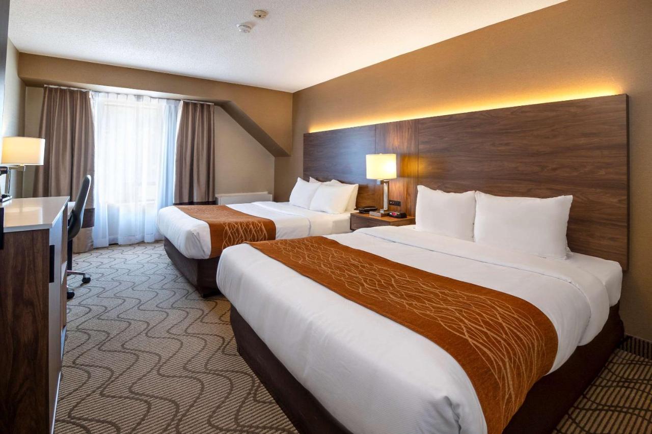 נורת ביי Comfort Inn Lakeshore מראה חיצוני תמונה