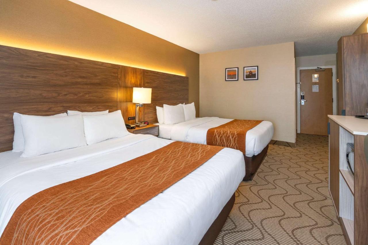 נורת ביי Comfort Inn Lakeshore מראה חיצוני תמונה