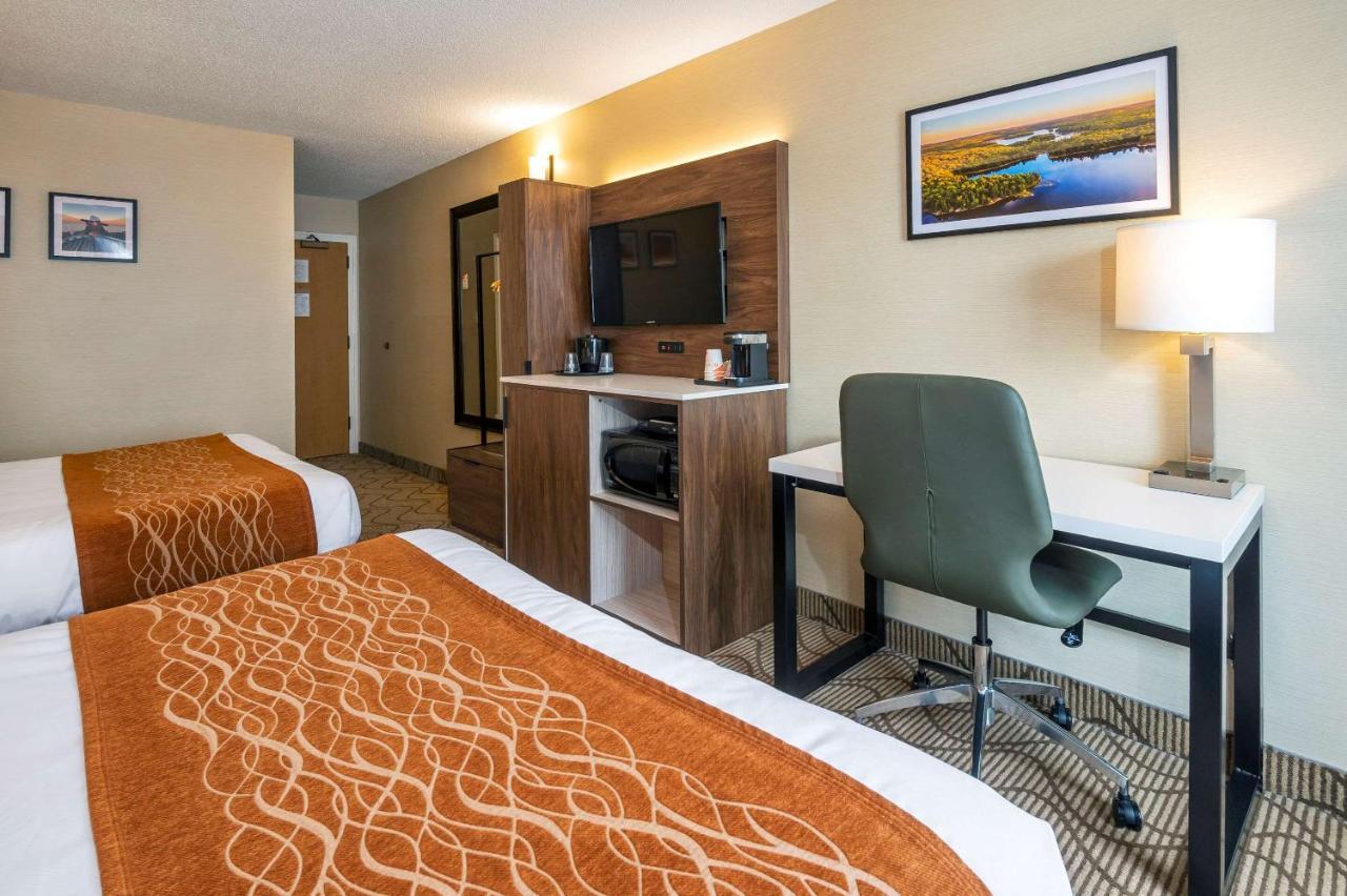 נורת ביי Comfort Inn Lakeshore מראה חיצוני תמונה