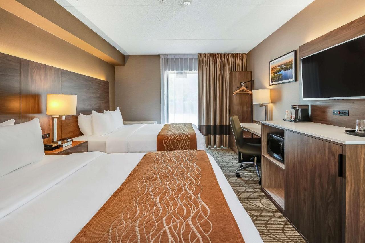 נורת ביי Comfort Inn Lakeshore מראה חיצוני תמונה