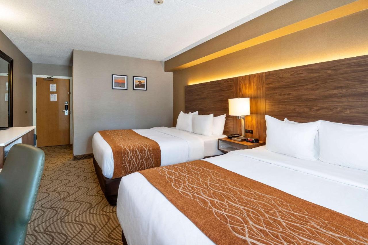 נורת ביי Comfort Inn Lakeshore מראה חיצוני תמונה