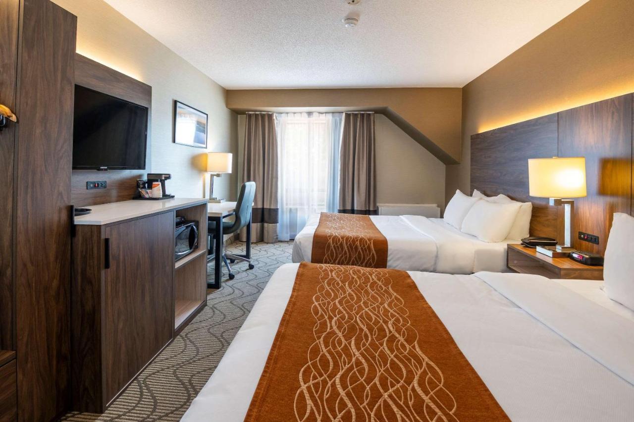 נורת ביי Comfort Inn Lakeshore מראה חיצוני תמונה