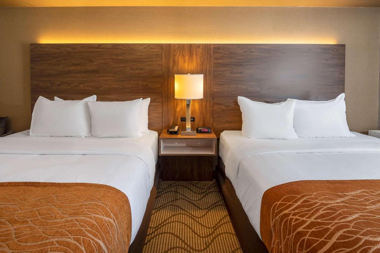 נורת ביי Comfort Inn Lakeshore מראה חיצוני תמונה