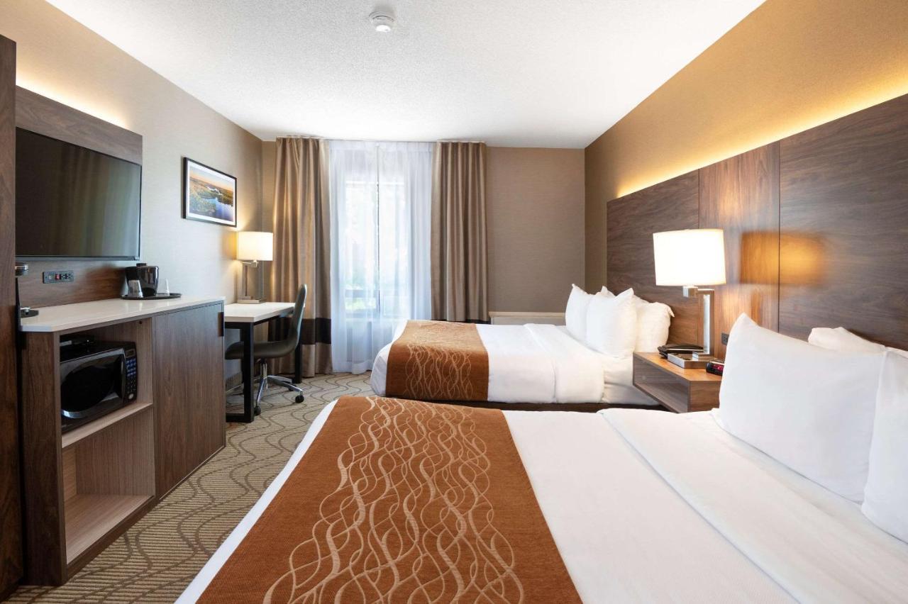 נורת ביי Comfort Inn Lakeshore מראה חיצוני תמונה