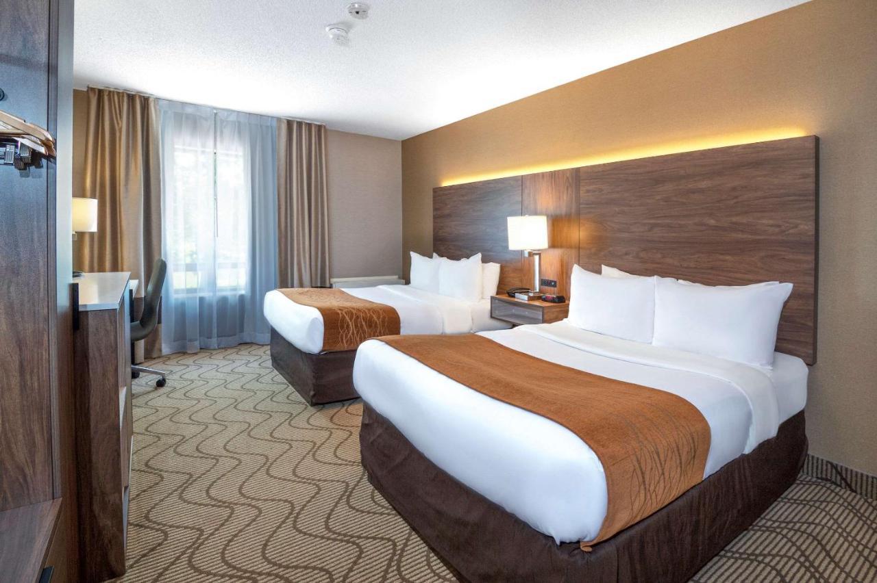נורת ביי Comfort Inn Lakeshore מראה חיצוני תמונה