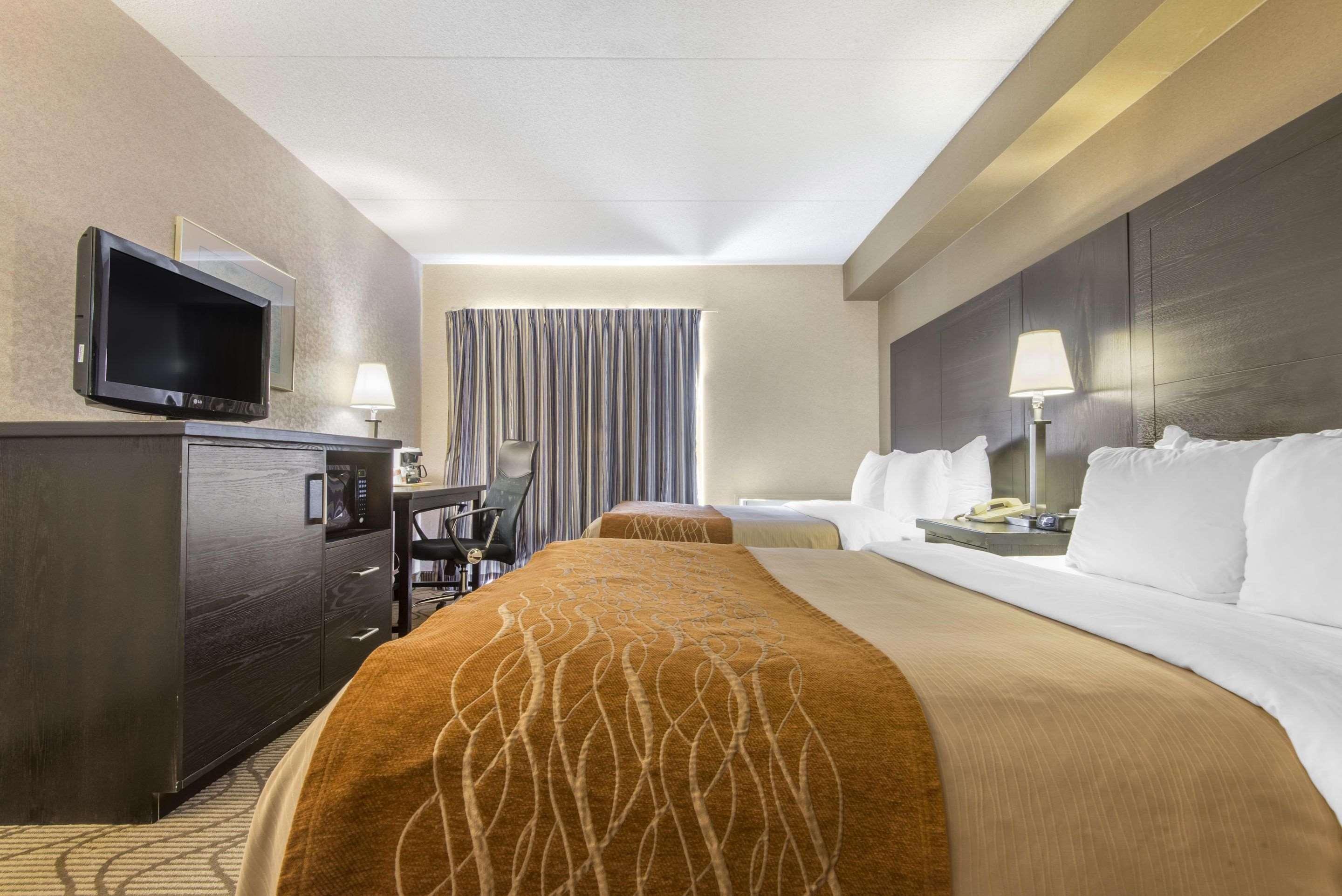 נורת ביי Comfort Inn Lakeshore מראה חיצוני תמונה