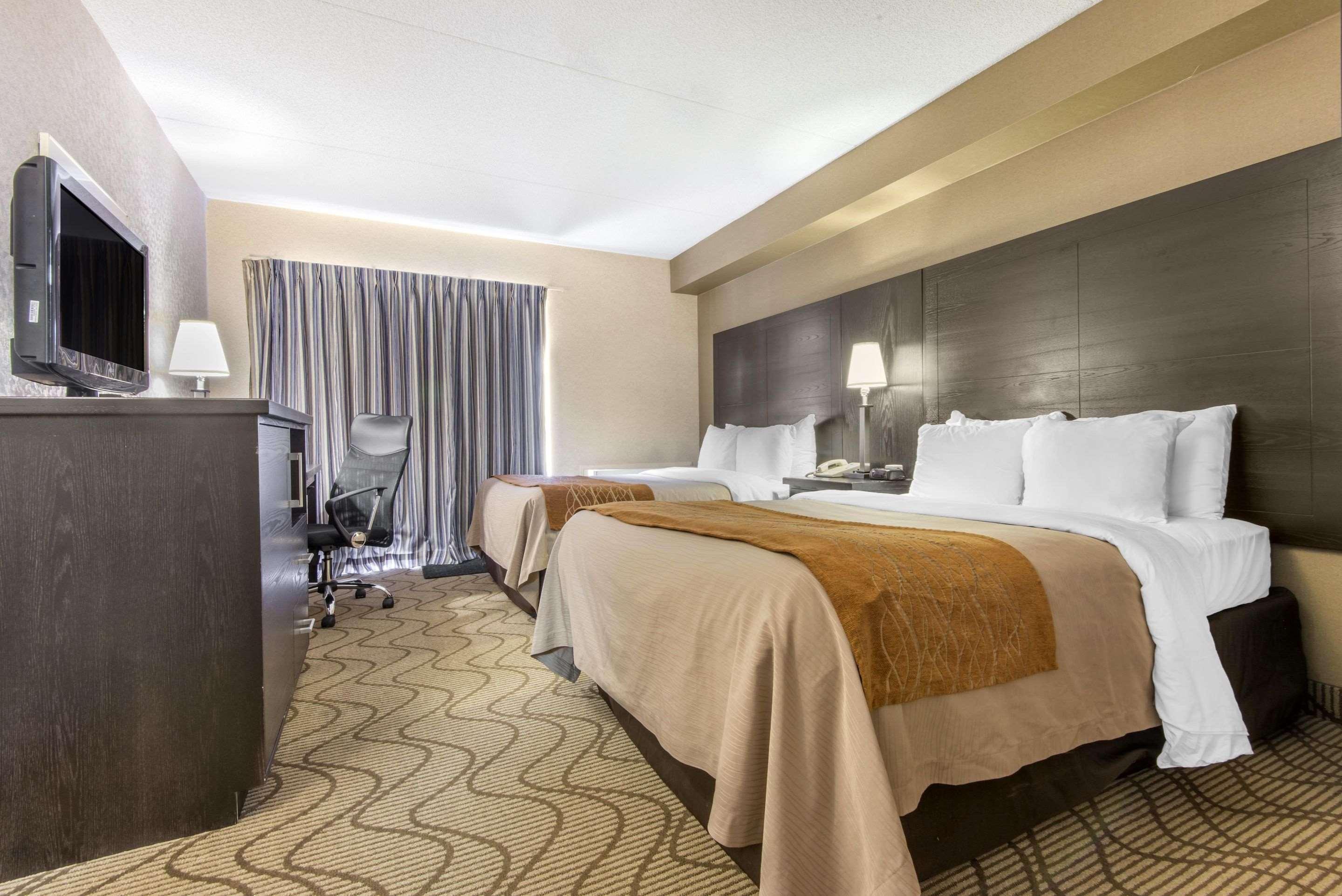 נורת ביי Comfort Inn Lakeshore מראה חיצוני תמונה