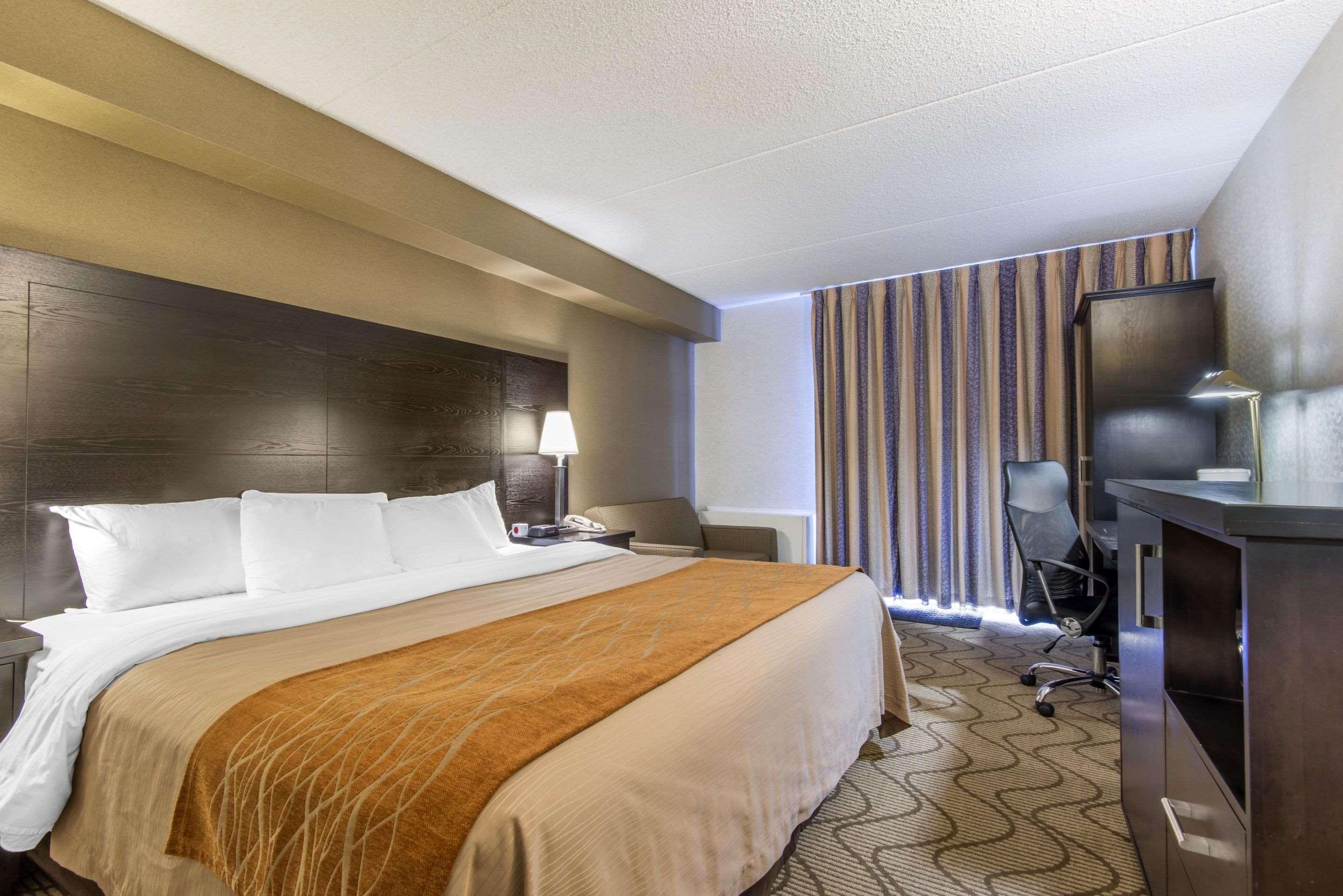 נורת ביי Comfort Inn Lakeshore מראה חיצוני תמונה