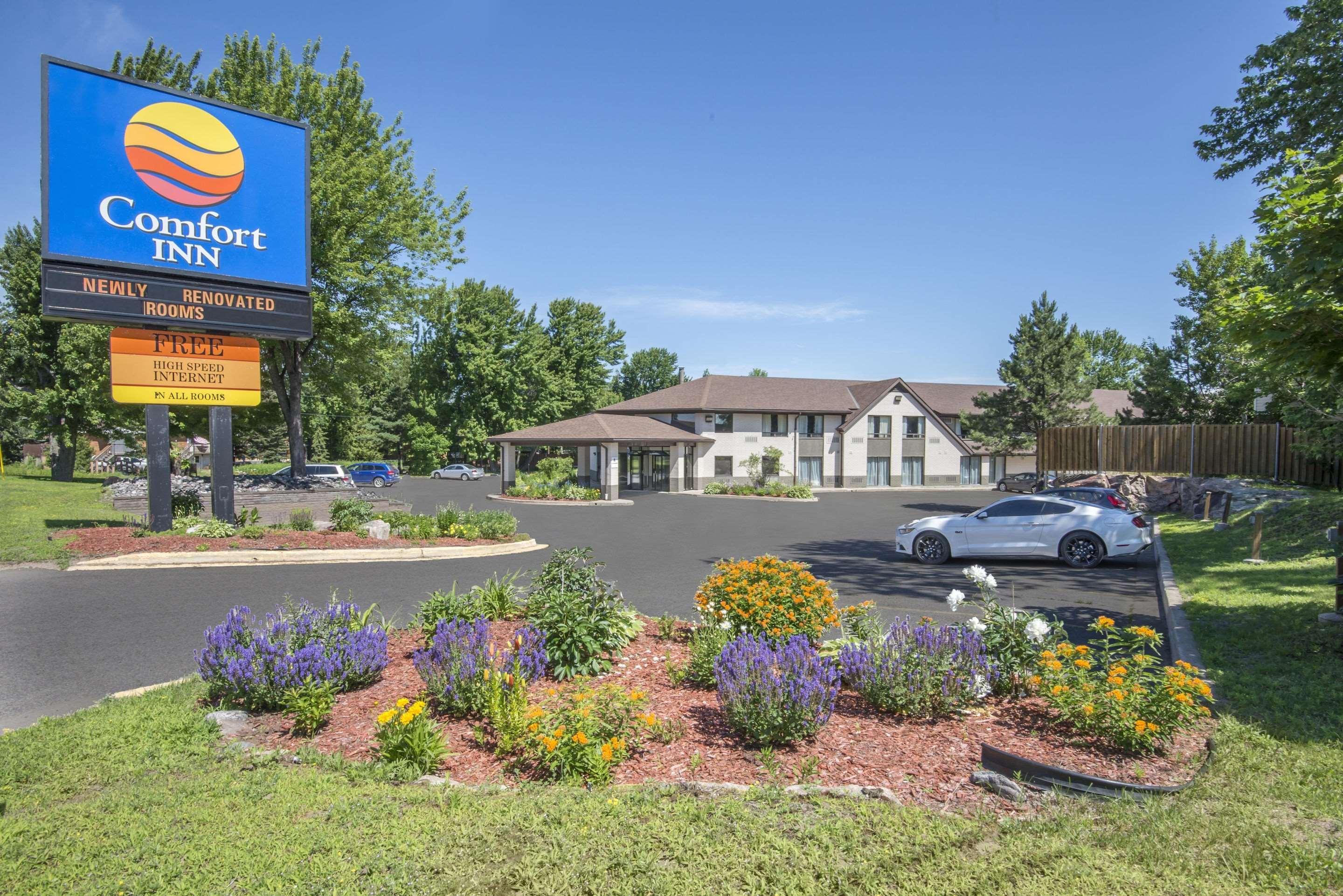 נורת ביי Comfort Inn Lakeshore מראה חיצוני תמונה