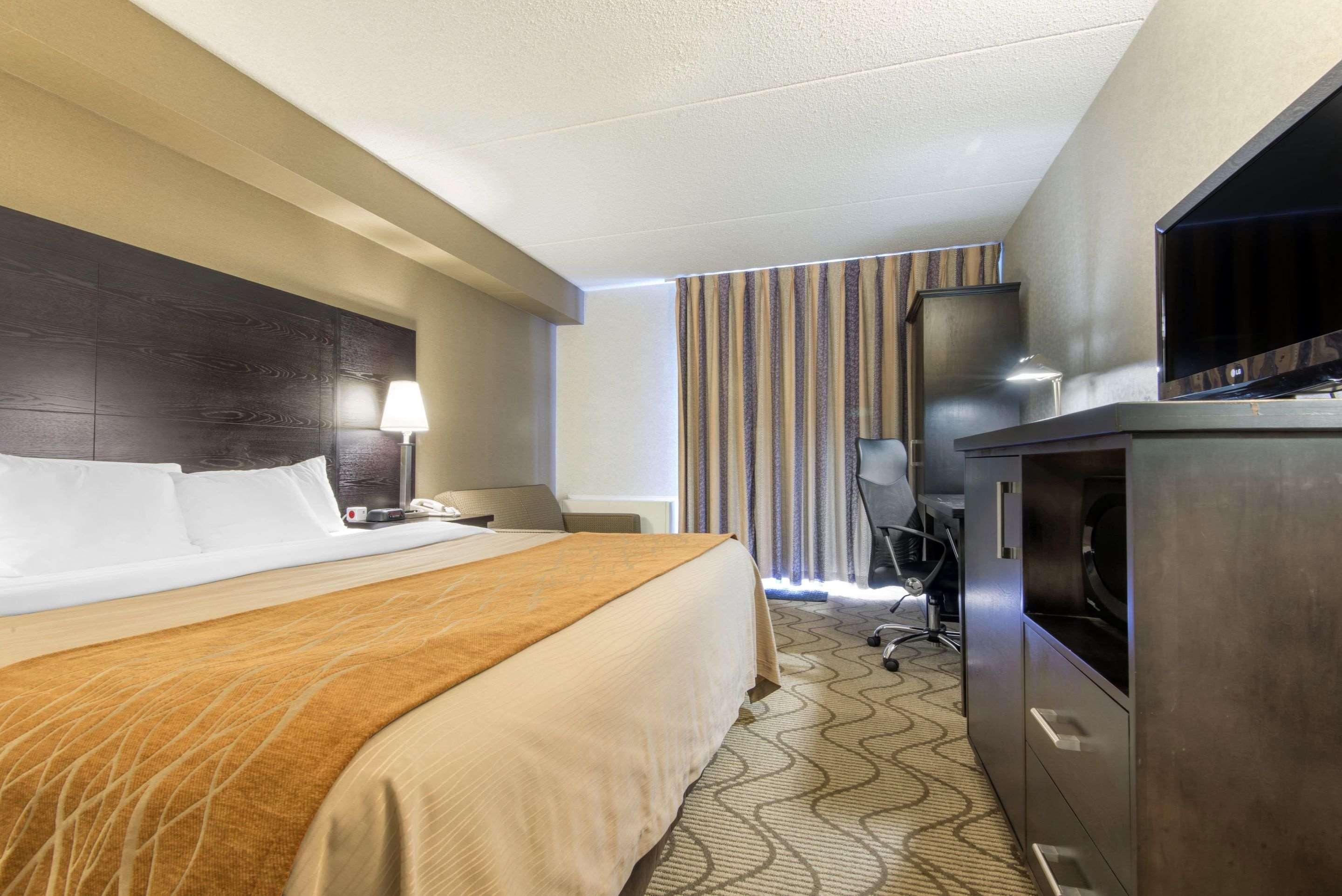 נורת ביי Comfort Inn Lakeshore מראה חיצוני תמונה
