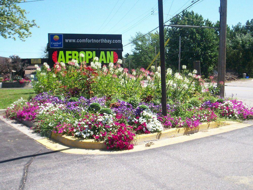 נורת ביי Comfort Inn Lakeshore מראה חיצוני תמונה