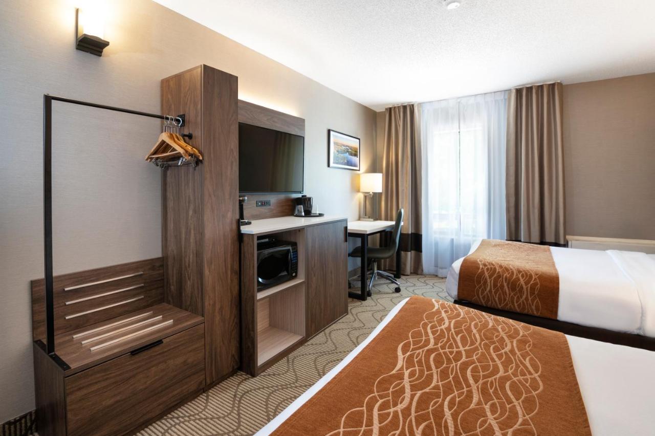נורת ביי Comfort Inn Lakeshore מראה חיצוני תמונה