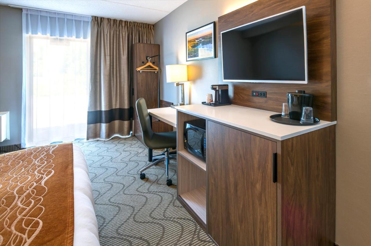 נורת ביי Comfort Inn Lakeshore מראה חיצוני תמונה