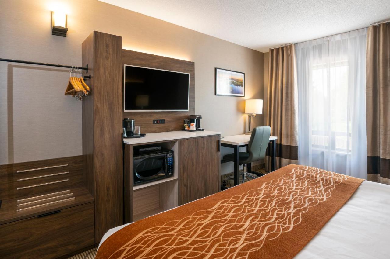 נורת ביי Comfort Inn Lakeshore מראה חיצוני תמונה