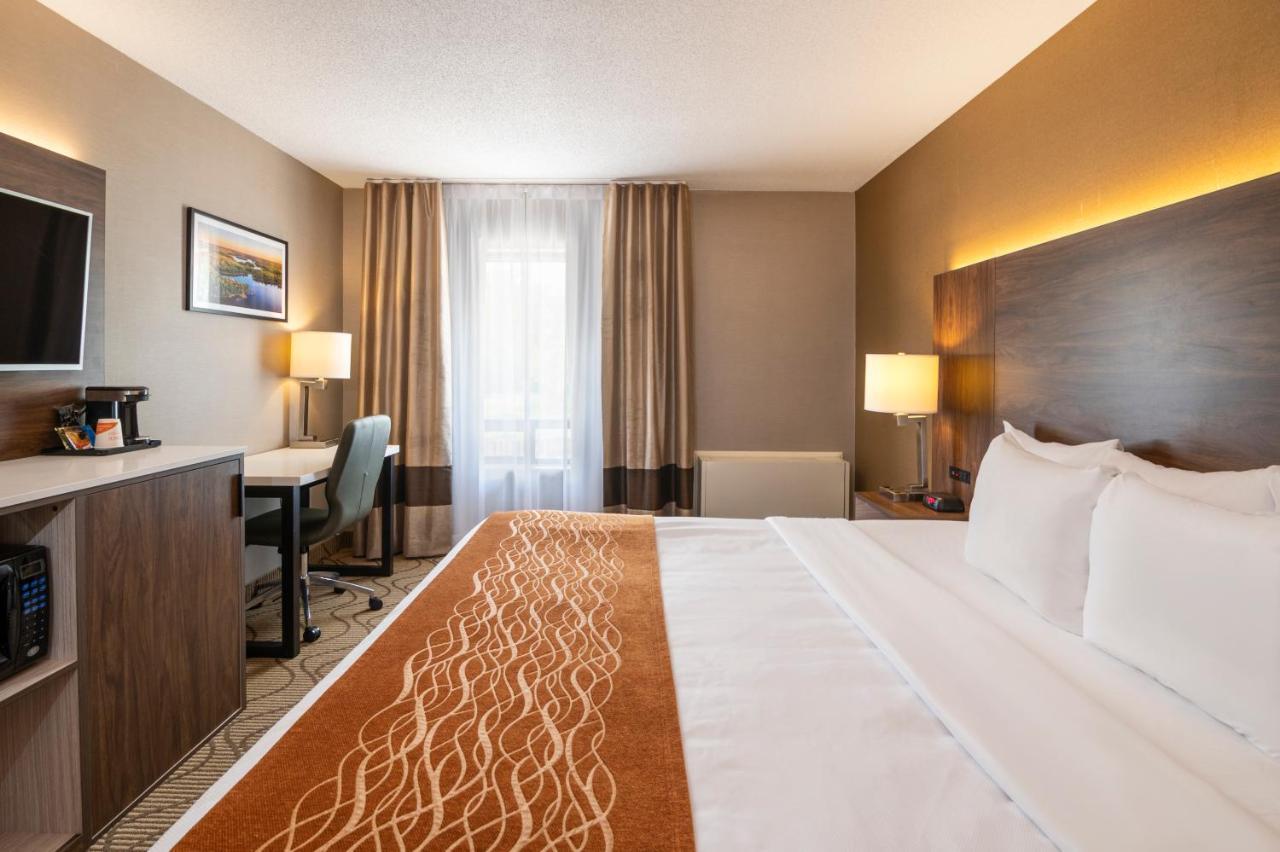 נורת ביי Comfort Inn Lakeshore מראה חיצוני תמונה