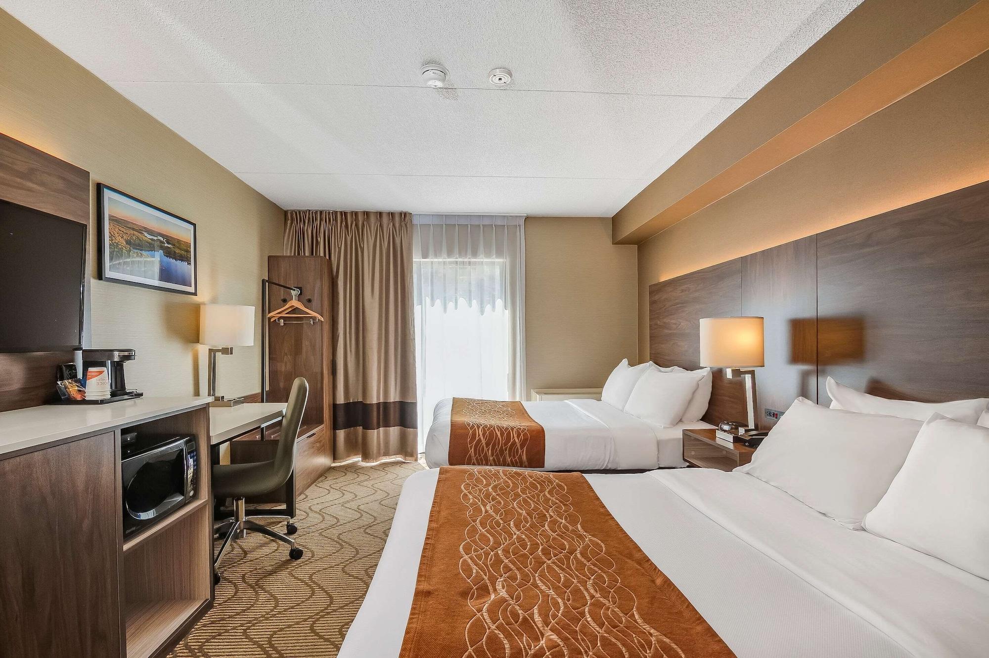 נורת ביי Comfort Inn Lakeshore מראה חיצוני תמונה