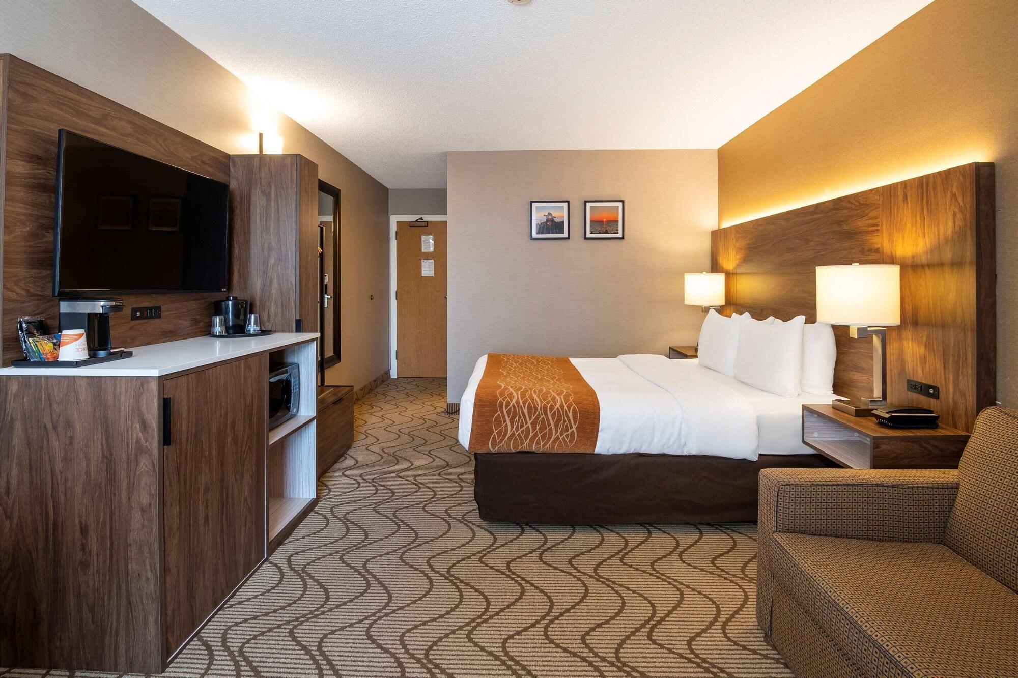 נורת ביי Comfort Inn Lakeshore מראה חיצוני תמונה